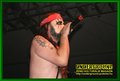 Gallery image 60