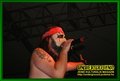 Gallery image 59