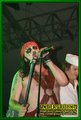 Gallery image 53