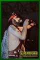 Gallery image 34
