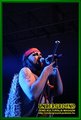 Gallery image 24