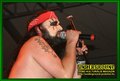 Gallery image 21