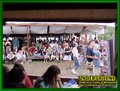 Gallery image 23
