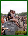 Gallery image 24