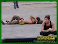Gallery image 43