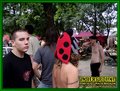 Gallery image 50