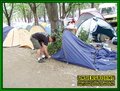 Gallery image 56