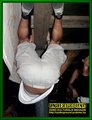Gallery image 65