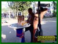 Gallery image 68