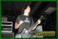 Gallery image 37