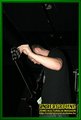 Gallery image 38