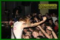 Gallery image 34