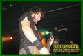Gallery image 46