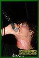 Gallery image 52