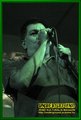 Gallery image 24