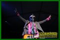 Gallery image 37