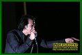 Gallery image 44