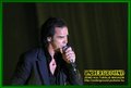 Gallery image 36