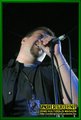 Gallery image 51