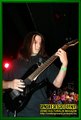 Gallery image 23