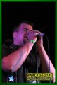 Gallery image 21