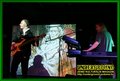 Gallery image 99