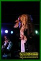 Gallery image 57
