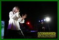 Gallery image 36