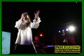 Gallery image 28