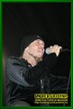 Gallery image 21