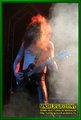 Gallery image 64