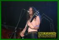 Gallery image 31