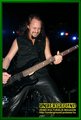 Gallery image 23