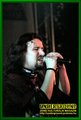Gallery image 64