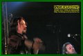 Gallery image 58