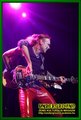 Gallery image 53