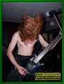 Gallery image 29
