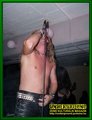 Gallery image 27