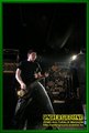 Gallery image 65