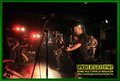 Gallery image 21