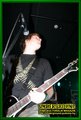 Gallery image 29