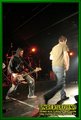 Gallery image 33