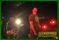 Gallery image 38