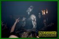 Gallery image 23