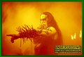 Gallery image 55