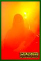 Gallery image 65