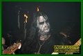 Gallery image 68
