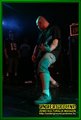 Gallery image 64
