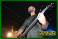 Gallery image 21
