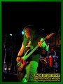 Gallery image 29